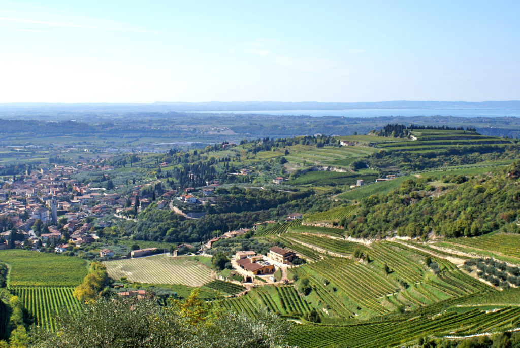 Valpolicella Wine Tour